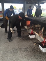 Nahkiset paistumassa